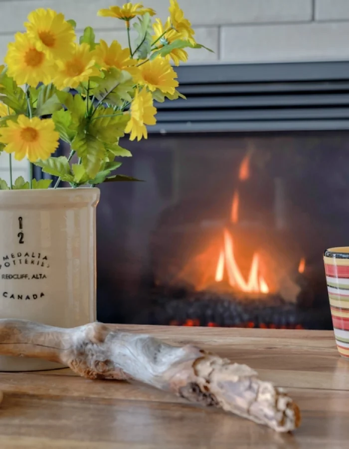 cozy-bow-river-escape-49-Y4LD6PGX9phk1MGK